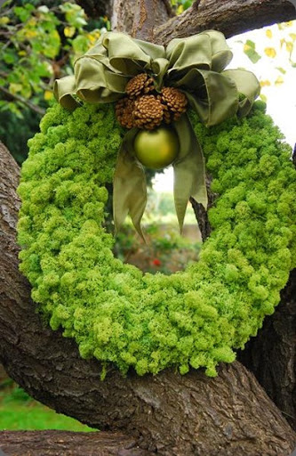 Lady-Oval-Moss-Wreath seed floral
