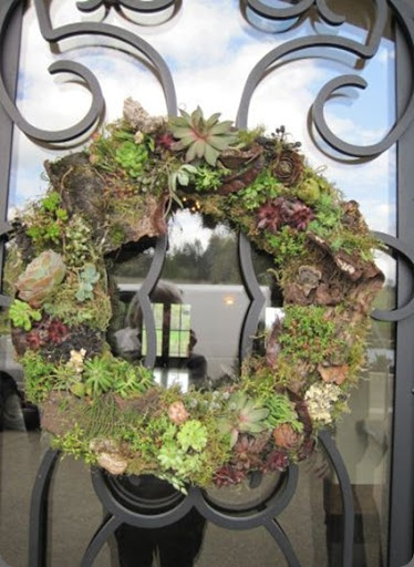 succulent-wreath-with-bark-Zenith-Vineyard-Françoise-Weeks