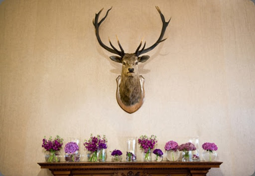 antlers Sarah Elizabeth Photography - Planet Flowers - The George Hotel Edinburgh - Wedding Flowers (6)