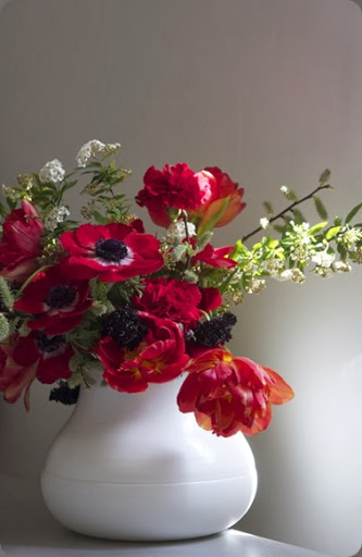 floresie_red_black_spring_flowers-1