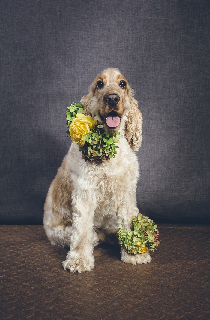 Flowertalk | I Heart Weddings Photography