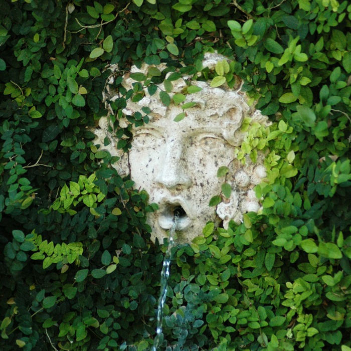 Ivy covered garden water fountain at Antique Rose Emporium Brenham Texas