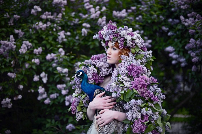 Passionflower | Susan McCleary | Jennifer Ilene Photography