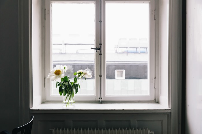 Alice Gao Photography Alice Gao Photography