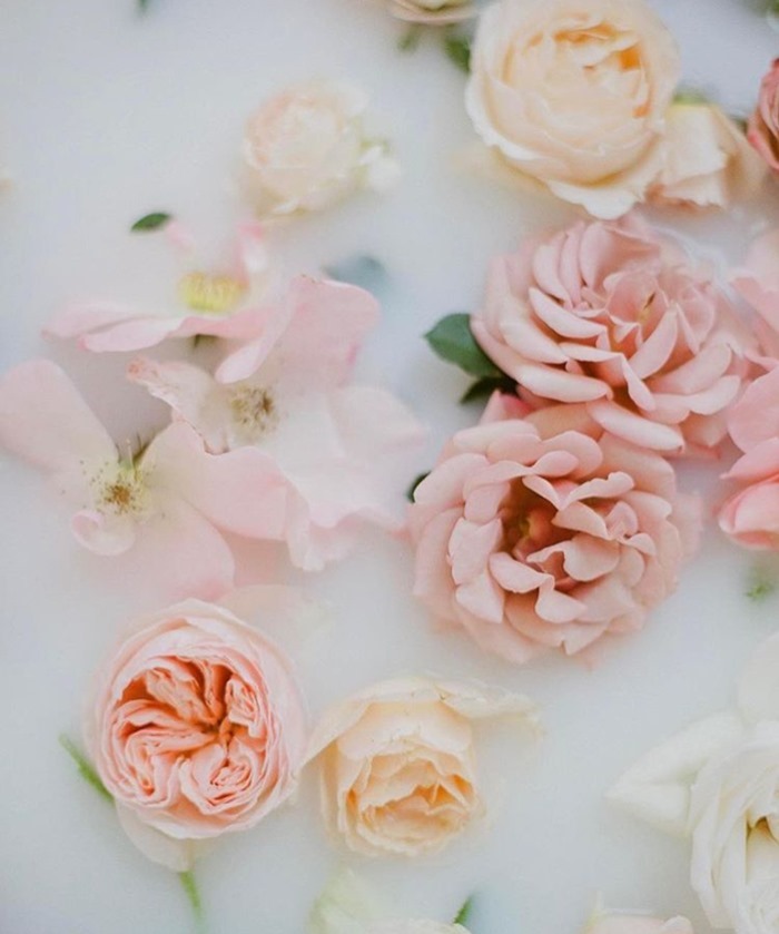Pale pink and cream Ella Rose Farm roses styled in a flatlay by Nancy Teasley