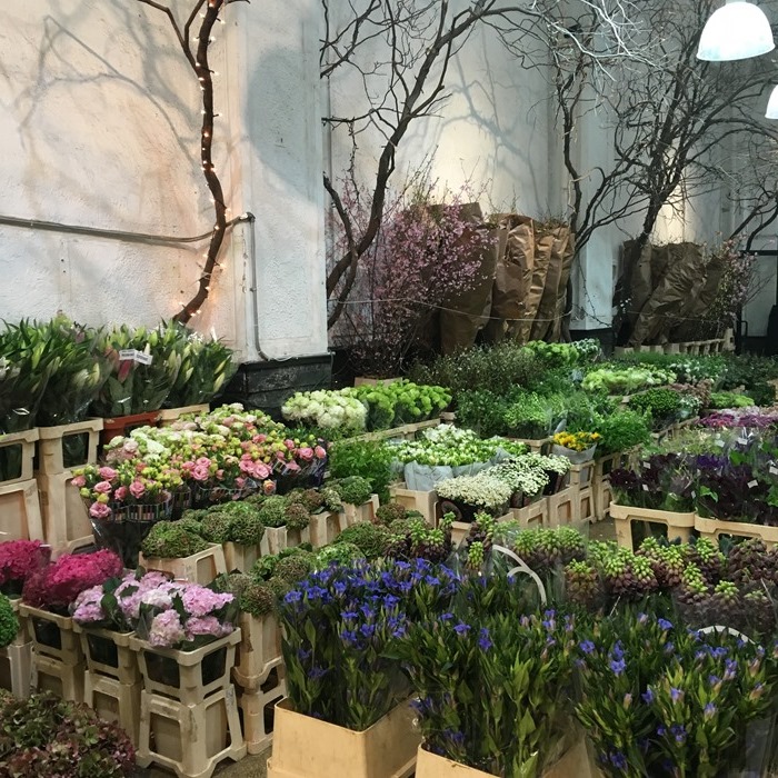 A large studio with boxes of fresh flowers and trees