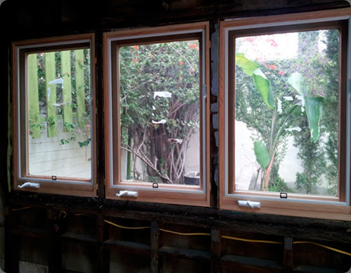 bloom alliance 5 int-windows-installed bloom alliance 5 int-windows-installed