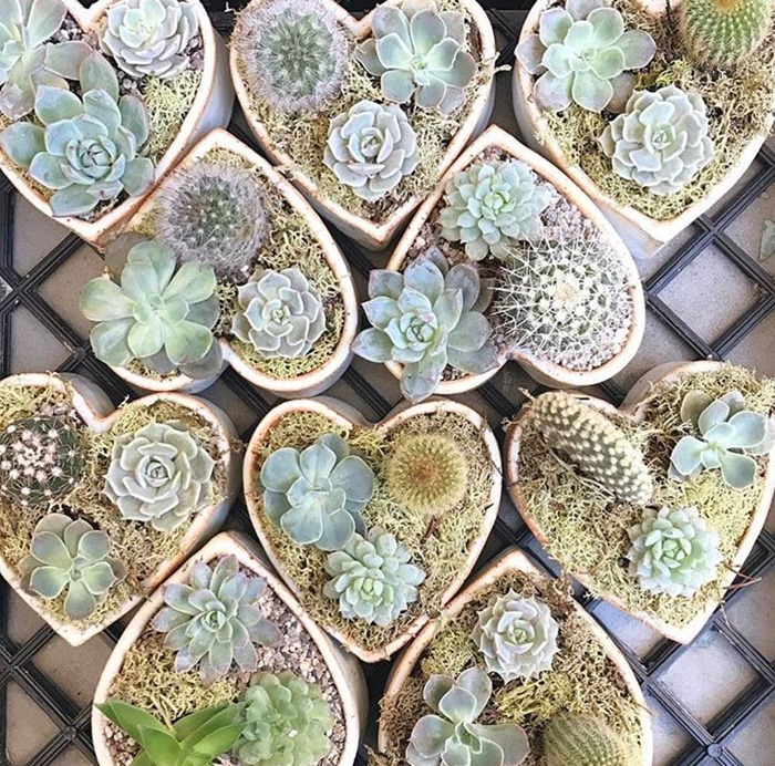 Flowered Hearts Botanical Brouhaha