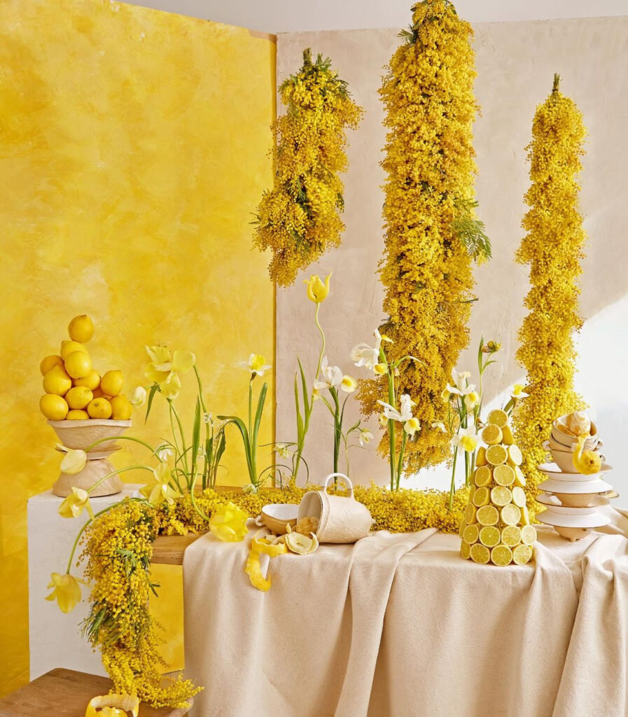 Bright yellow tablescape of hanging yellow flowers, blooming narcissus bulbs, and lemons in front of a yellow backdrop taught as part of class at Madrid Flower School