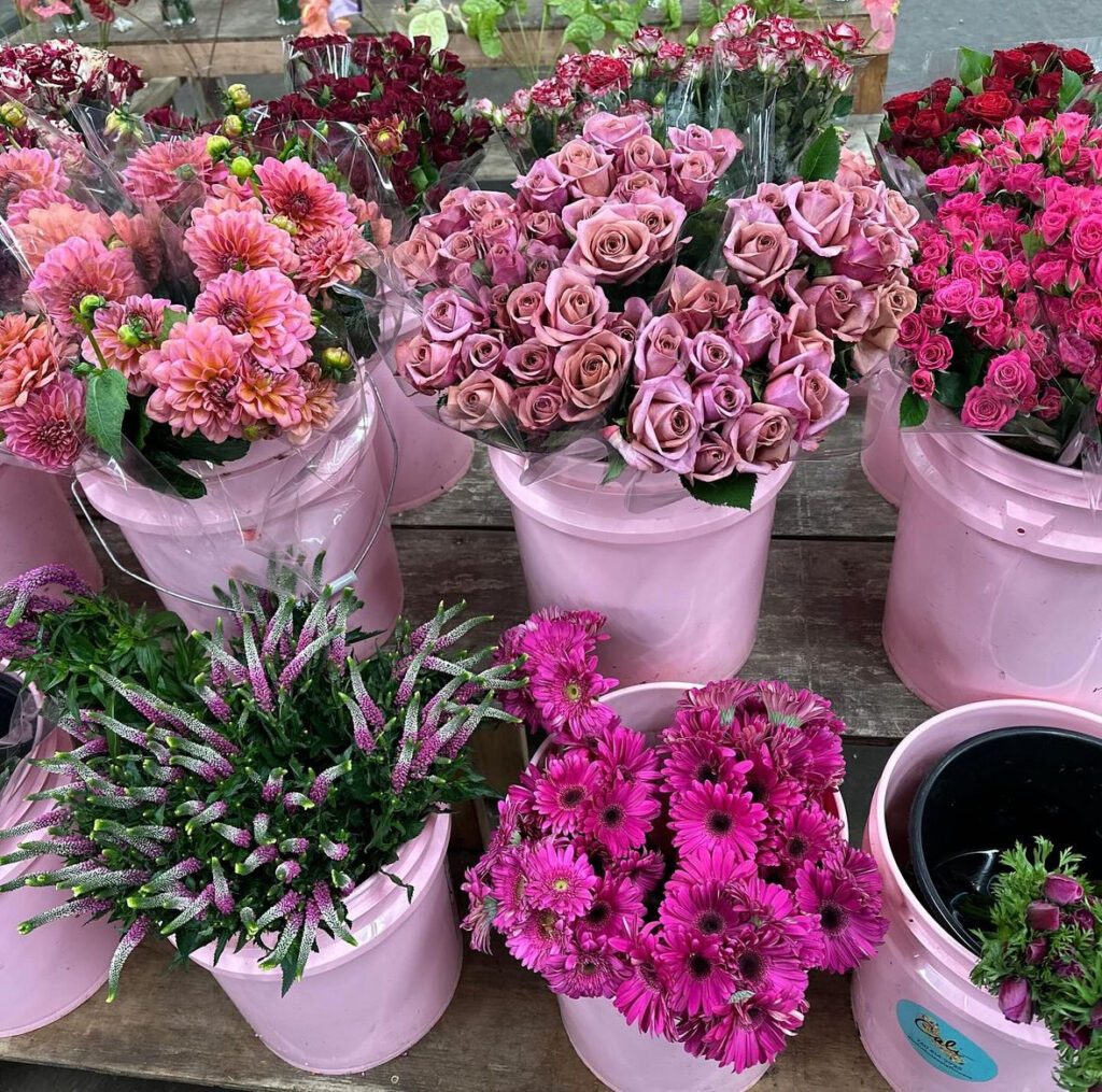 Pink buckets of mauve flowers for sale at a flower wholesale business stall in a California flower market.